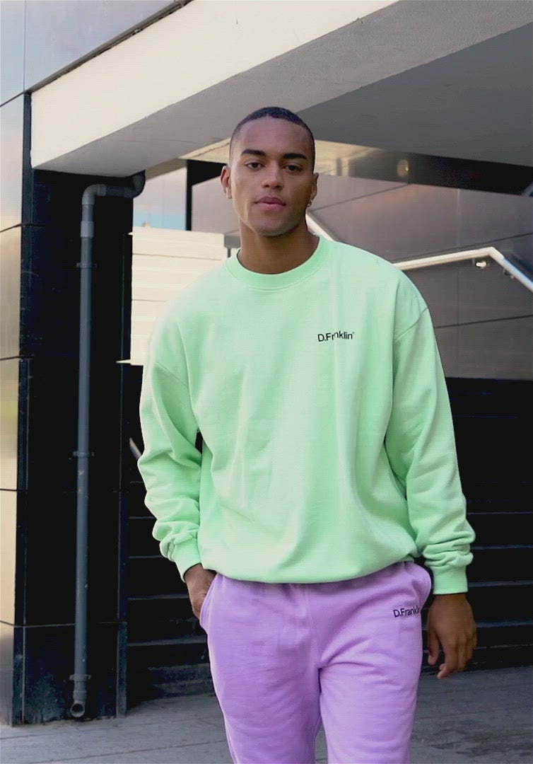 Sweatshirt Oversized D.Franklin Basic Mint
