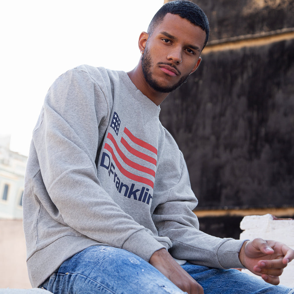 Sweatshirt Oversized D.Franklin Flag Grey